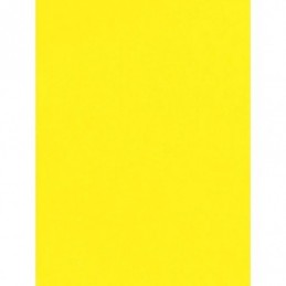 CARTULINA A-4 AMARILLO LIMON P/100