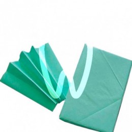 PAPEL CREPE M60 VERDE CLARO EXACLAIR