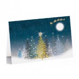 TARJETAS DE NAVIDAD XMAS MIRACLE 175
