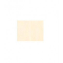 PAPEL A4 100H 220GR VERJURADO MICHEL MARFIL