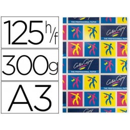PAPEL COLOR COPY MATE DIN A3+ 300GR 125H