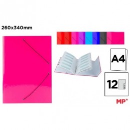 CARPETA CON SOLAPAS CLASIFICADORA 340X