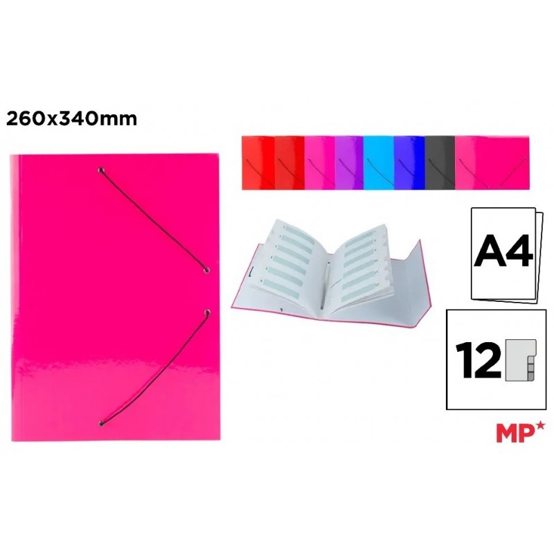 CARPETA CON SOLAPAS CLASIFICADORA 340X