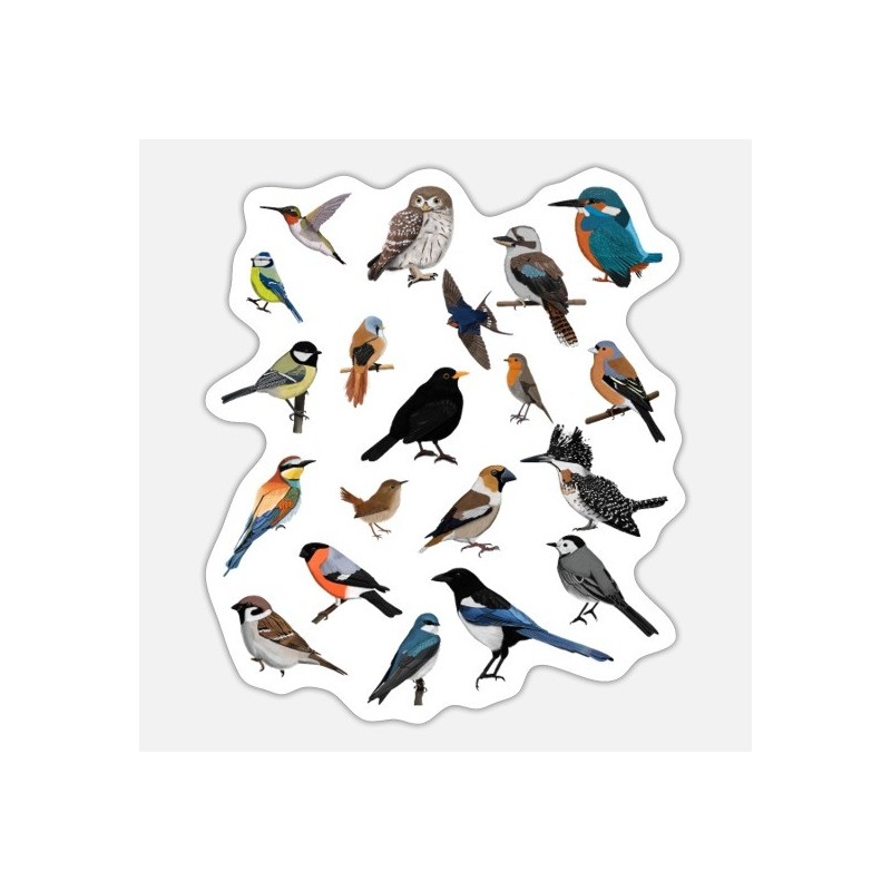 PEGATINAS STICKERS RELIEVE PAJARITOS