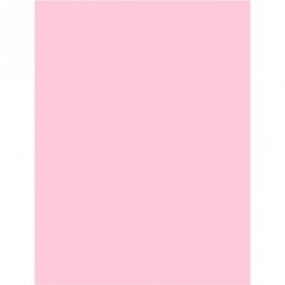 CARTULINA 50x70CM ROSA