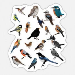 PEGATINAS STICKERS RELIEVE PAJARITOS