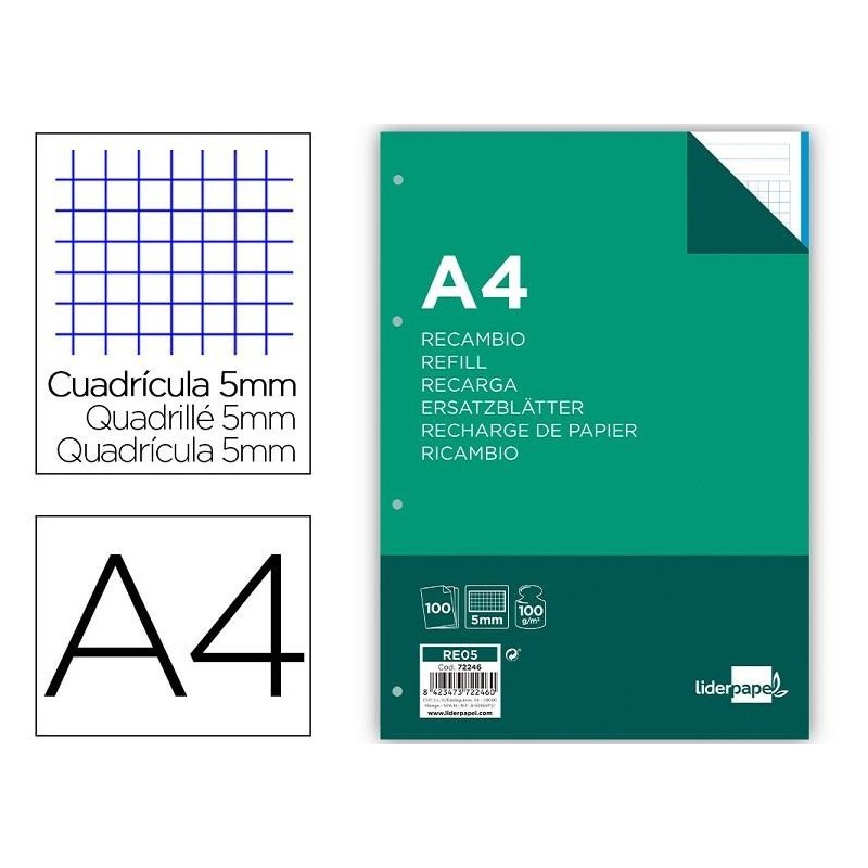 RECAMBIO LIDERPAPEL 100H 100GR 5MM 4T 5COLORES