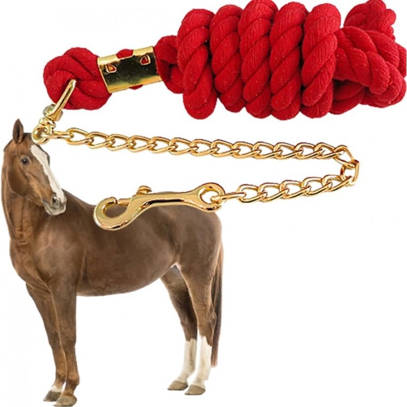 CABALLO GIRO CUERDA EXPOSITOR