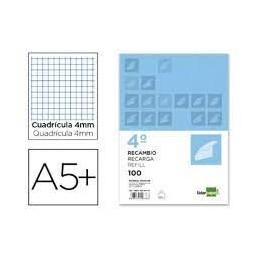 RECAMBIO LIDERPAPEL CUARTO APAISADO 4MM 2 TALADROS