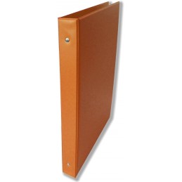 CARP/ESTUDIO CUARTO SARO NARANJA