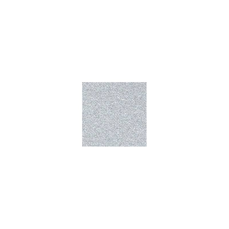 CARTULINA GLITTER 250GR/M2 50x65 5H PLATA