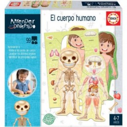EL CUERPO HUMANO