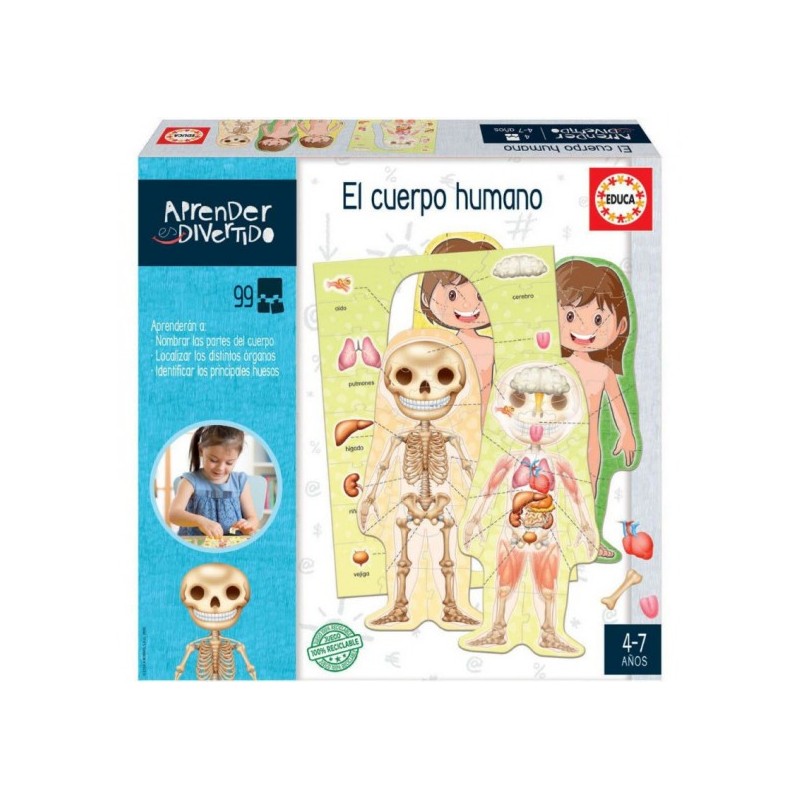 EL CUERPO HUMANO
