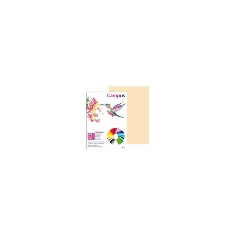 CARTULINA A4 P100 CREMA 180GR/M2