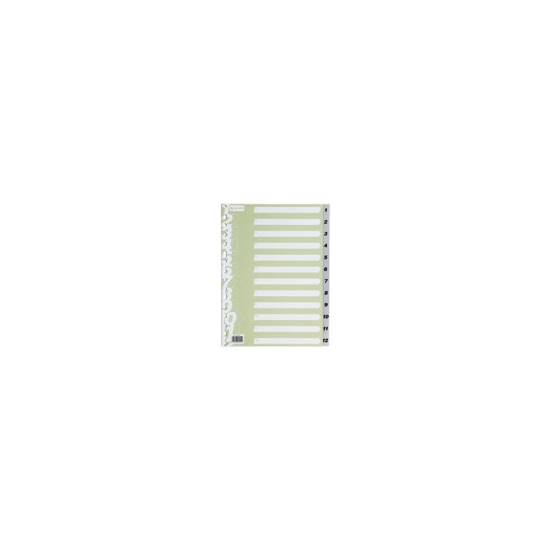 INDICE PLASTICO A4 1/12 TALADROS