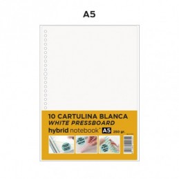 RECAMBIO HYBRID 10H A5 CARTULINA 250GR BLANCA