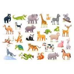 ANIMALES SALVAJES