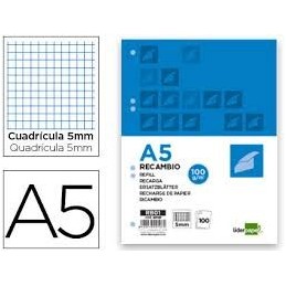 RECAMBIO A5 100 HOJAS 100gr 5mm CON MARGEN 6 TALAD