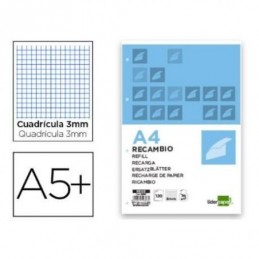 RECAMBIO CUARTO 100 HOJAS 60gr 3mm CON MARGEN 6 TA