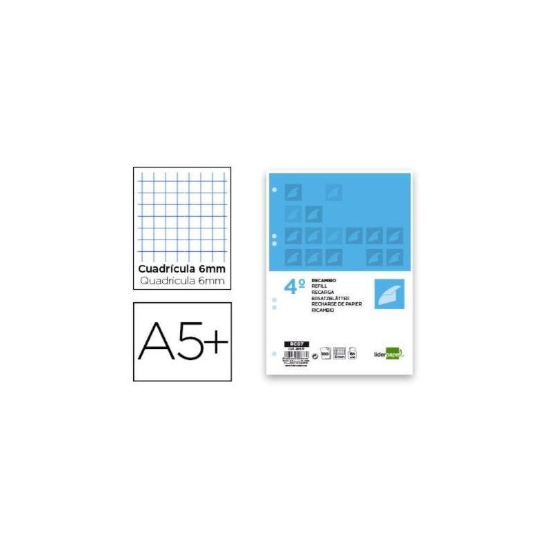 RECAMBIO LIDERPAPEL CUARTO 100H 60G 4MM CON MARGEN