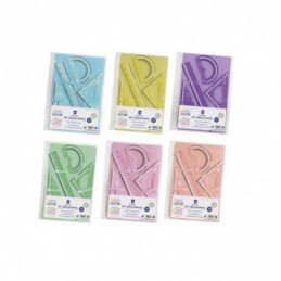 SET 4 REGLAS PASTEL C/FUNDA PORTADORA MULTITALADRO