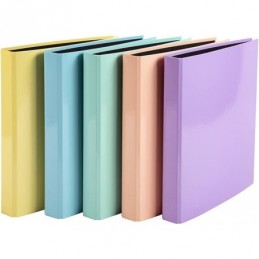CARPETA CARTON A4 4AR 25 AZUL ROSA