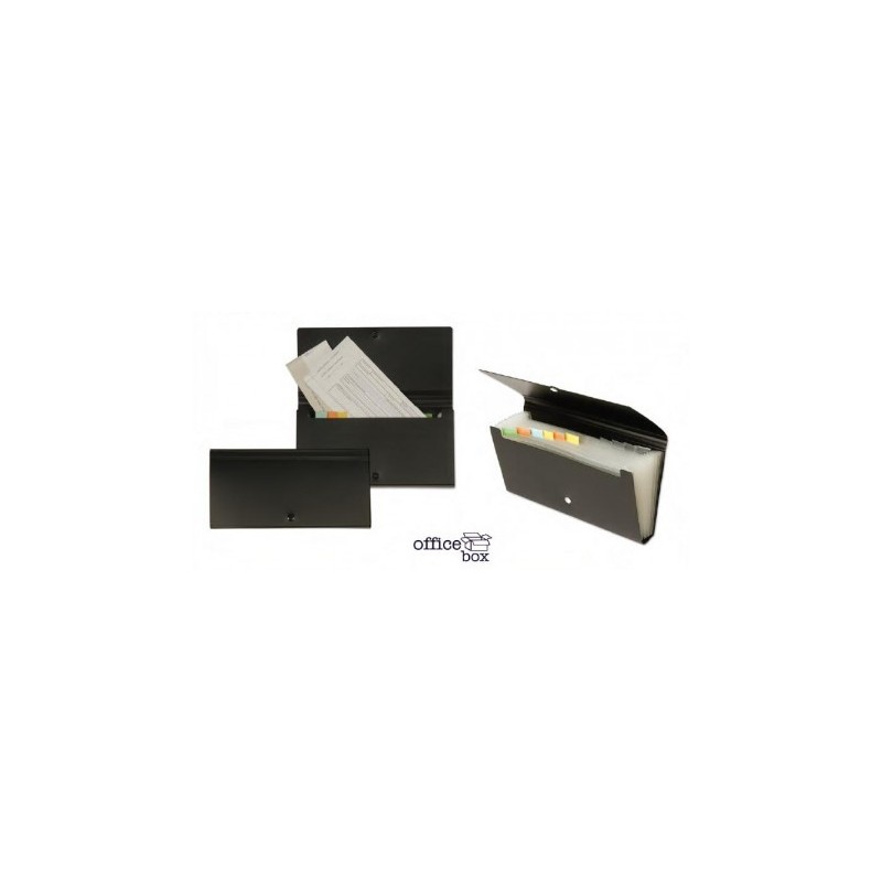 CLASIFICADOR CHEQUERA 12 DIV 120x260MM NEGRO