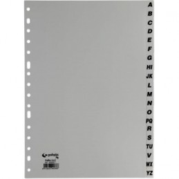 JUEGO ABECEDARIOS XS 16 TALADROS PP FOLIO GRIS
