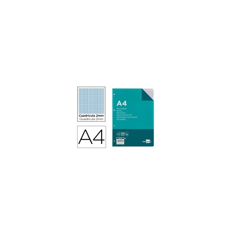 RECAMBIO LIDERPAPEL A4 100H 100G/M2 2MM CON MARGEN