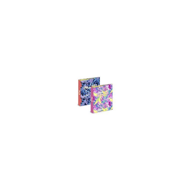 CARPETA FOLIO 4A ONEILL BOYS NEGR VERDE AZUL FUC