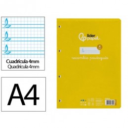 RECAMBIO LIDERPAPEL A4 100H 75G 4MM CON PAUTA