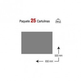 CARTULINA MK 200GR P.25 GRIS OSCURO