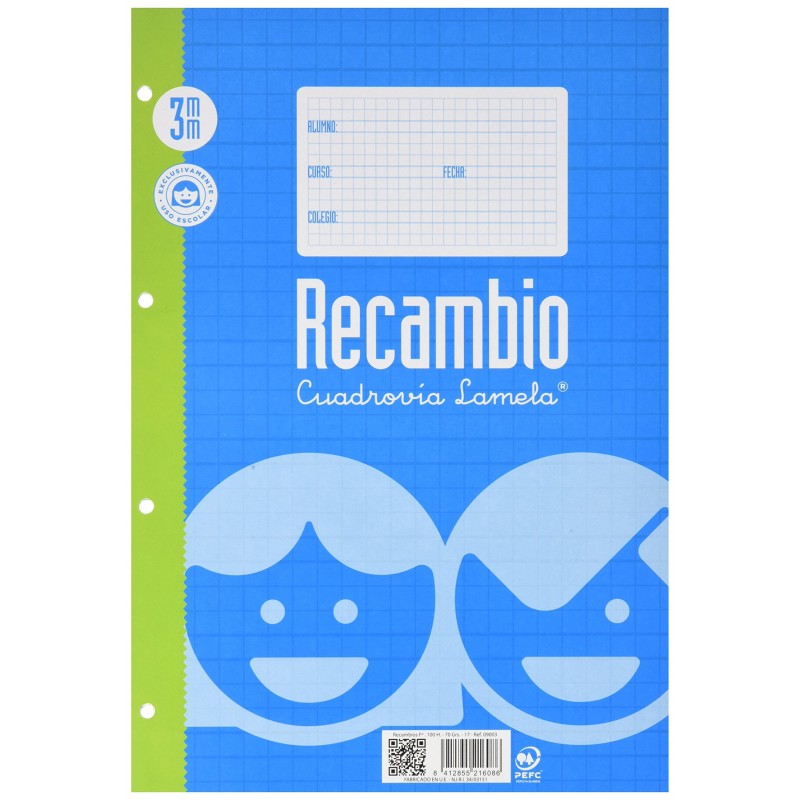 RECAMBIO FOLIO CUADROVIA 3MM LAMELA 100 HOJAS