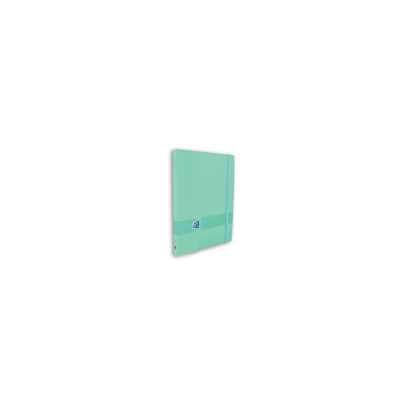 CARPETA A4 CLASIFICADORA TAPA EXTRADURA TOUCH OXFO