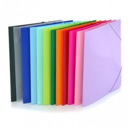 CARPETA GOMAS A4 PP COLOR LINE COLORES SURTIDOS