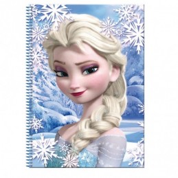 BLOC FROZEN DISNEY A6 SURTIDO