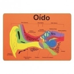 PUZZLES GOMA EVA OIDO