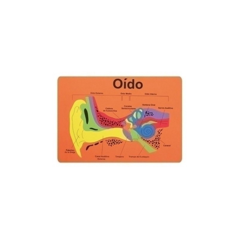 PUZZLES GOMA EVA OIDO