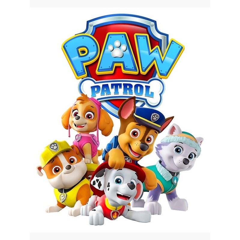 POSTER PAW PATROL 6 ROTULADORES DKN-3105