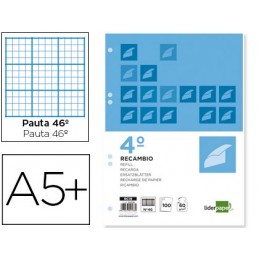 RECAMBIO CUARTO 100 HOJAS 60gr N 46 6 TALADROS