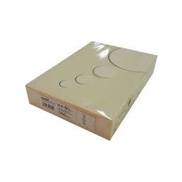 PAPEL TARJETA A4 80GR PERG. CREMA E/10uds