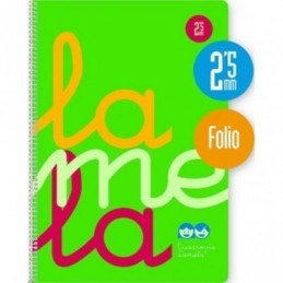 BLOC ESPIRAL FOLIO 80H 90GR CUADROVIA 2,5MM PLASTI
