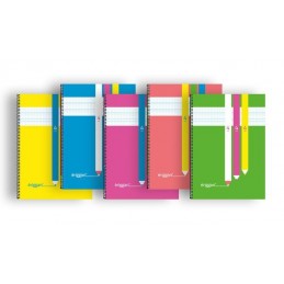 BLOC FOLIO ERIGGAN CUADROVIA 3MM 80H PP 90GR SURTI