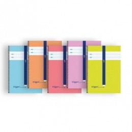 BLOC FOLIO ERIGGAN CUADROVIA 5MM 80H 70GR TAPA CAR